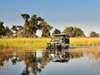 Footsteps Across the Delta - game drive